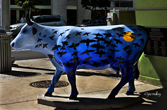 Cow Parade Austin 2011