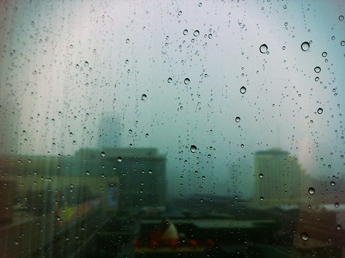 Rainy from my window