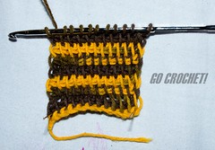 Tunisian Crochet Stitch [Front]