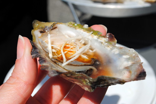 Oyster in the Shell