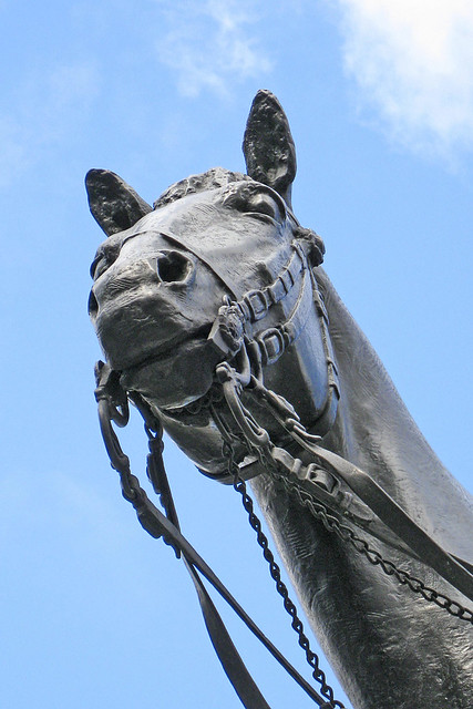 Horse head Sir George Stuart