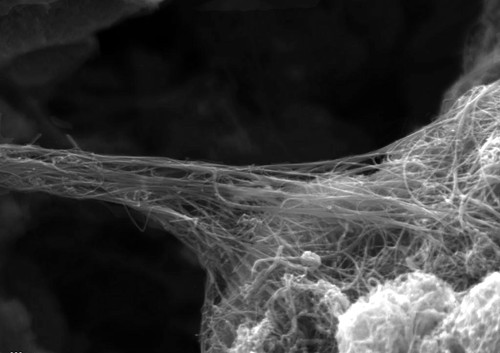 Nanotubo de Carbono - aline de oliveira pb