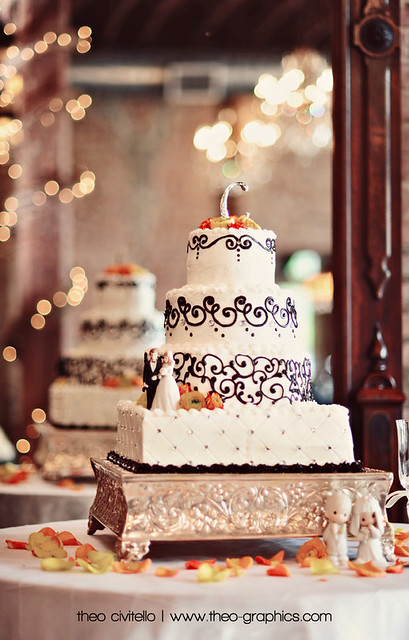 Wedding Cake wwwtheographicscom