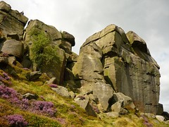 Cow and Calf rocks, Ilkley