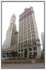 Chicago IL ~ Wrigley Building 