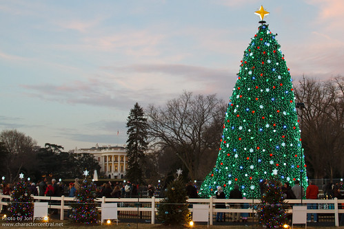DC Dec 2010 - Visiting the National Christmas Tree