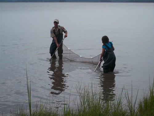 Seining is a popular ranger guided activity