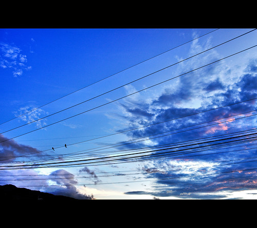 [scenery] division of sky