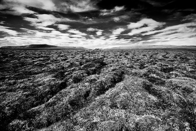 Icelandic landscape (B&W)