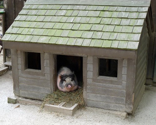 Pig House