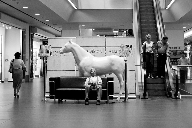 man and a horse