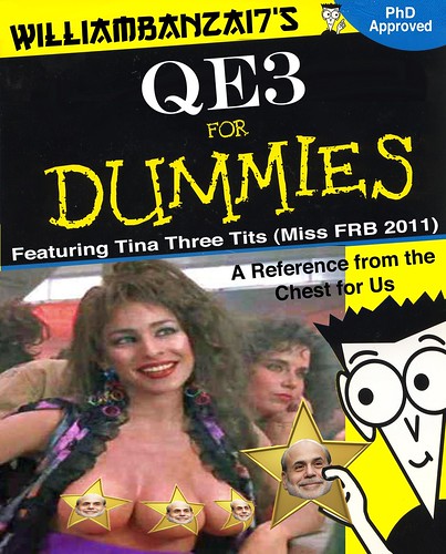 QE3 FOR DUMMIES by Colonel Flick
