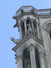Laon (02), Cathédrale Notre-Dame