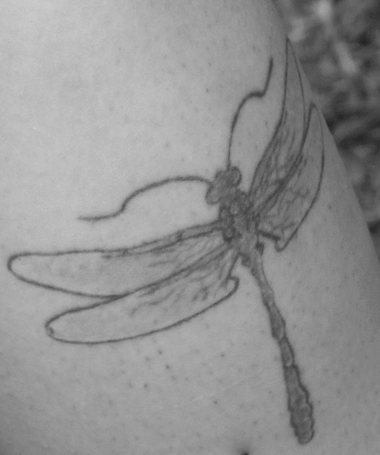 the Dragon fly Tattoo
