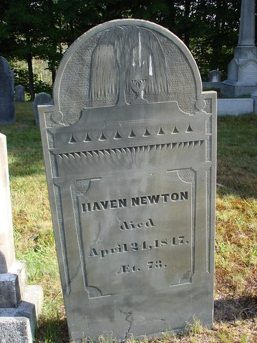 Haven NEWTON by midgefrazel