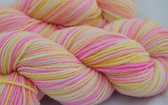 Happiness on Vision Merino Worsted Yarn(...a time to d
