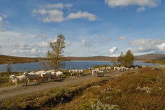 Store og Litje Svergjesjø, Svergja og Svergjedalen