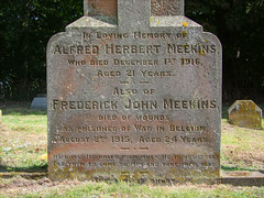 WWI: the Meekins brothers