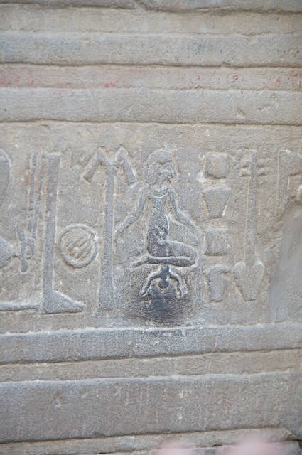 Egypt 2011 -  Reliefs in Kom Ombo Temple