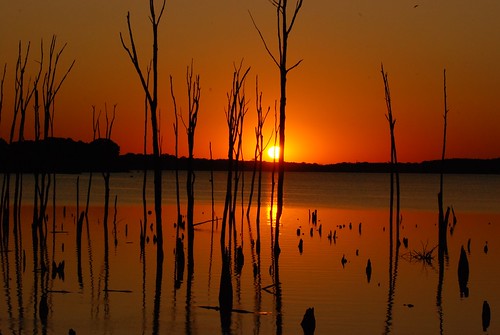 Sunrise at Manasquan Reservoir by joeleszc