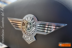 Presentación Sombras del Asfalto: Emblema Harley-Davidson