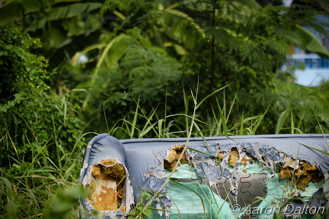 Jungle Couch