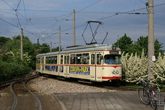 Ludwigshafen (D) RNV/VBL