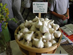 Minnesota Garlic Festival 2011