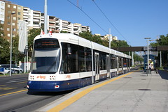Genève (CH) TPG Trams (2)