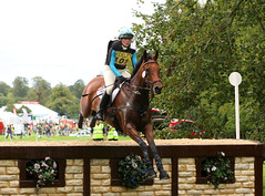 Blenheim horse trials 2011