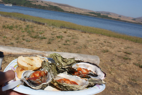 Inverness Market Oysters, Tomales Bay