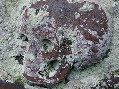 Gravestone art, lichen and graveyards