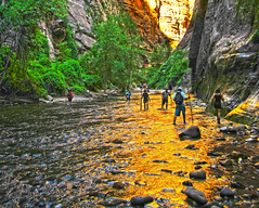 The Zion Narrows route