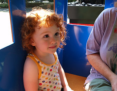 Speck on the Zoon train at 41 months