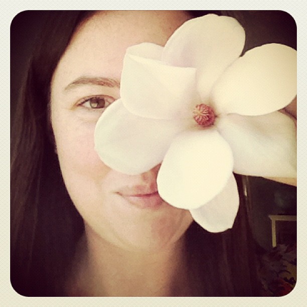 My magnolia tree blooms are as big as my face!