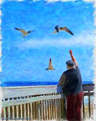 Feeding the seagulls, Atlantic City Boardwalk