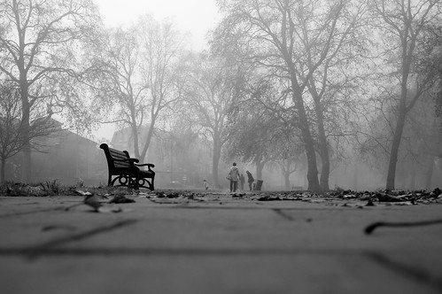 Misty morning in East Dulwich [Explore]