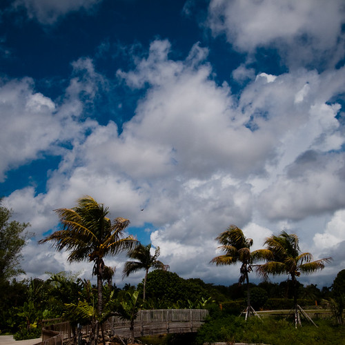 South West Dade Skies, Redlands Fruit and Spice Park