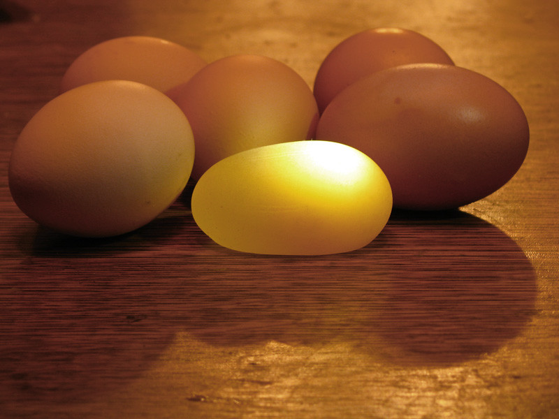 Shell-Less Chicken Egg