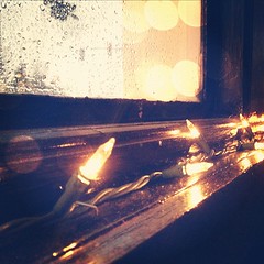 Twinkle lights + rain = love