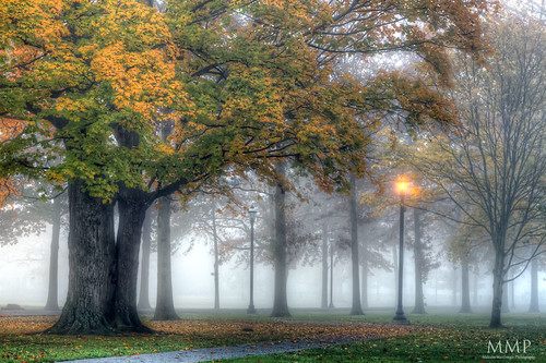 Foggy Fall Morning