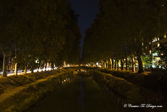 Toulouse de nuit, Les Ponts 2