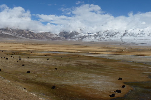 Tibet 409