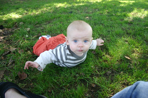 "Crawling" in the grass