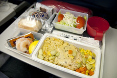 Airline Meal, Delta Airline