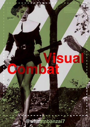VISUAL COMBAT BANZAI7 by Colonel Flick