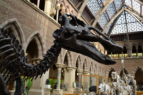 Oxford Museum of Natural History