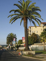 California 2011