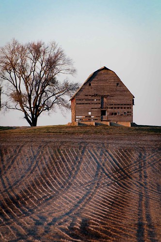 _DSC5803 Old Barn and Corduroy Fields -- how many 11-11-11's can you count?