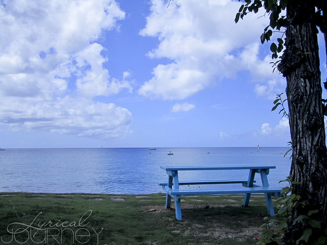 Barbados 20111114_0105 WM